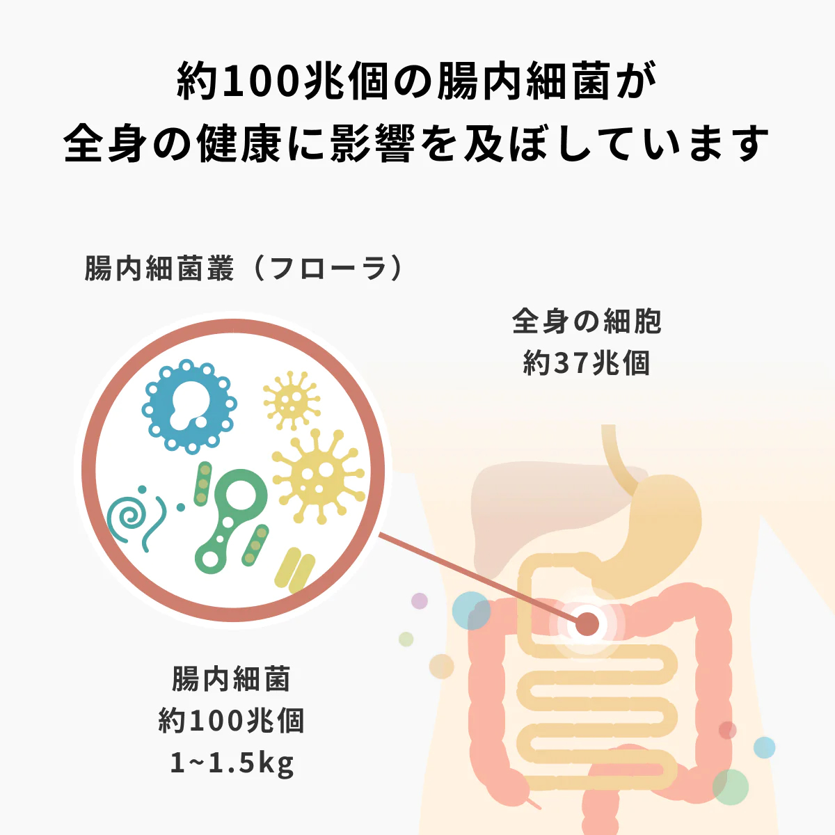 腸内フローラ検査 | 堅田医院